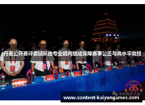 丹麦公开赛评委团队由专业裁判组成保障赛事公正与高水平竞技