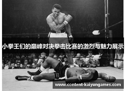 小拳王们的巅峰对决拳击比赛的激烈与魅力展示