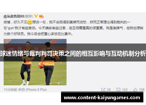 球迷情绪与裁判判罚决策之间的相互影响与互动机制分析