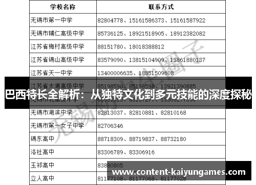 巴西特长全解析：从独特文化到多元技能的深度探秘