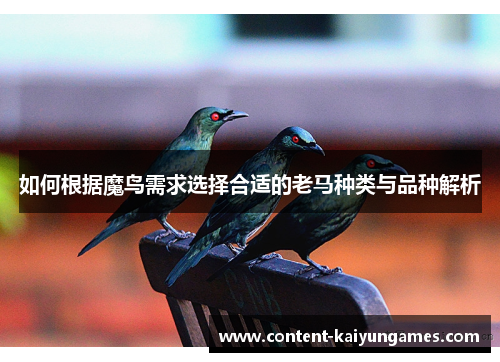 如何根据魔鸟需求选择合适的老马种类与品种解析