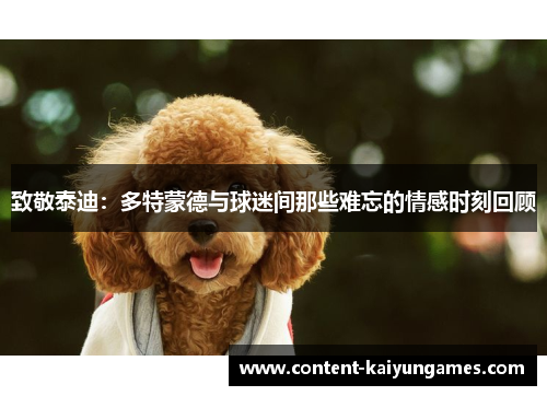 致敬泰迪：多特蒙德与球迷间那些难忘的情感时刻回顾