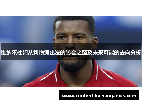 维纳尔杜姆从利物浦出发的转会之路及未来可能的去向分析