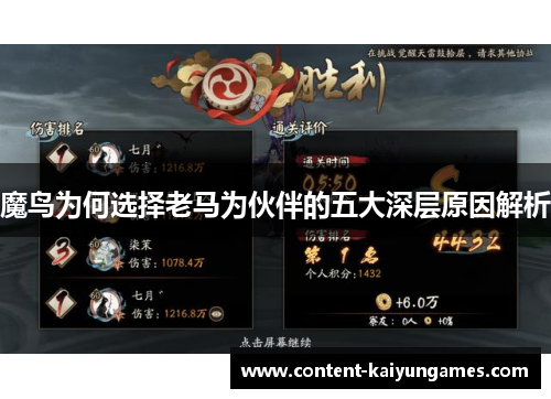 魔鸟为何选择老马为伙伴的五大深层原因解析